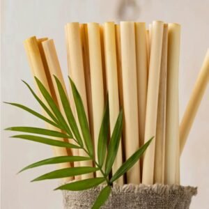Biodegradable Straws