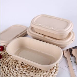 Compostable Food Containers